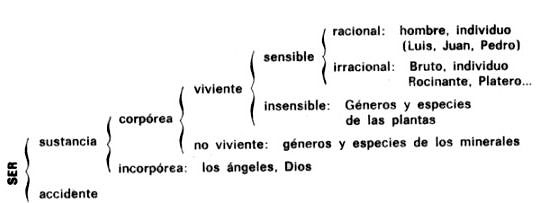 Jerarquía y subordinación de los conceptos según el árbol lógico de Porfirio